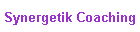 Synergetik Coaching