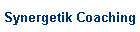 Synergetik Coaching